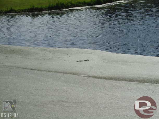 We stopped for a bit and noticed several other gators in the lake