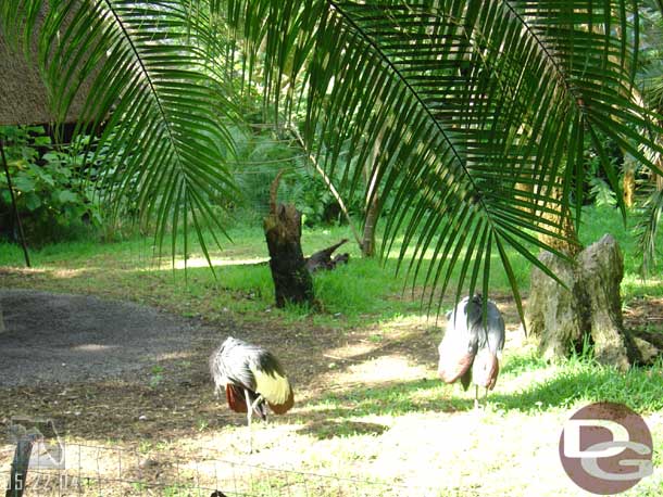 As we head for the Safari through the queue