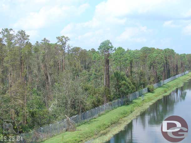 Some trees down on the Magic Kingdoms fence