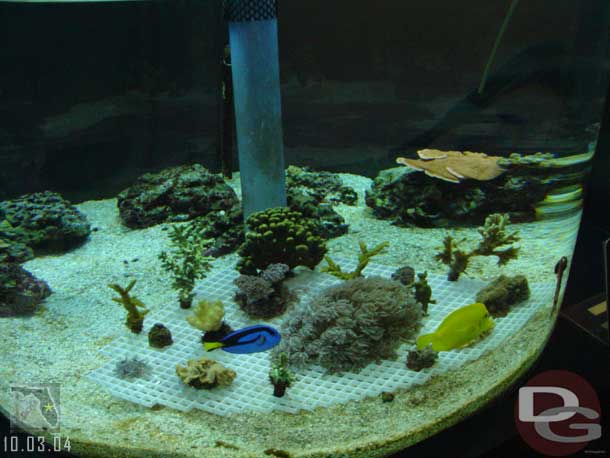 Speaking of Nemo and friends..