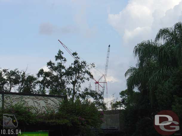 Next up Animal Kingdom, the cranes from the entrance