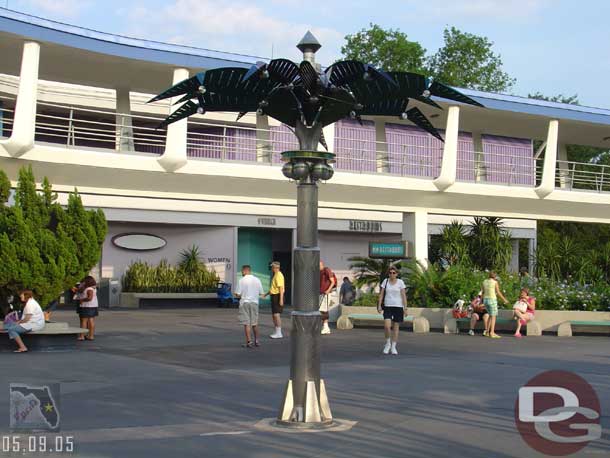 One of the palm trees in Tomorrowland