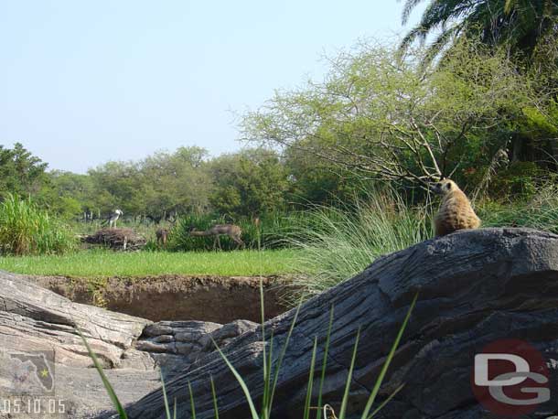 A trip through Pangani Forest