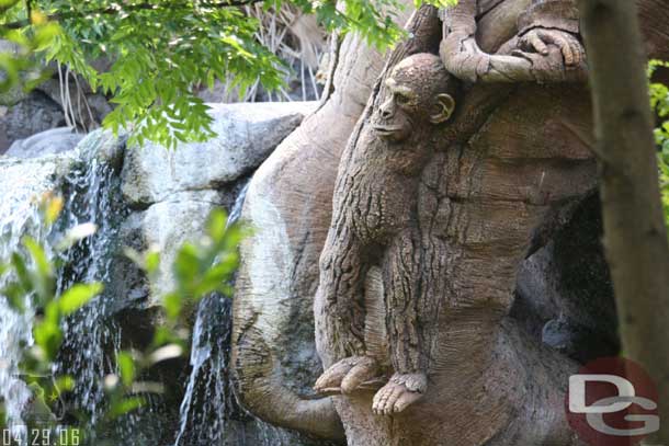 A couple Tree of Life shots