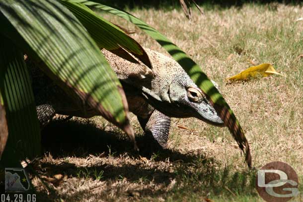 A walk through the Jungle Trek next