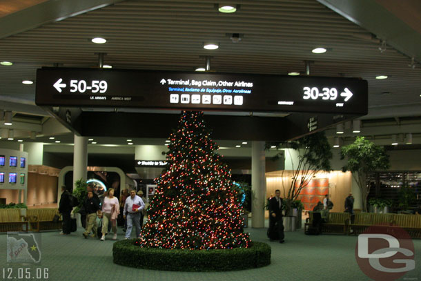 A shot of one of the trees at the airport.