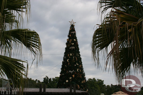 The Animal Kingdom Tree by day