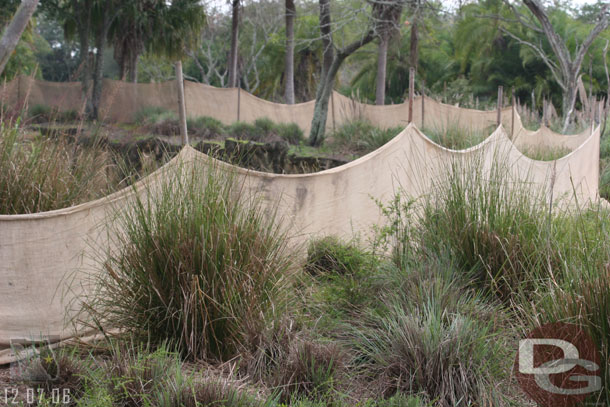 There was a lot of netting up around the Elephant area.. is this part of the baby proofing or something else?  It did not look like anything was going on..