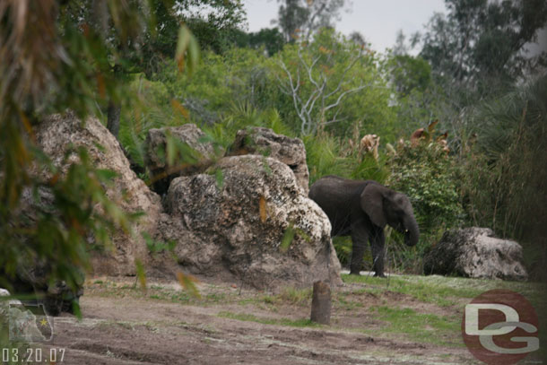 One of the older children