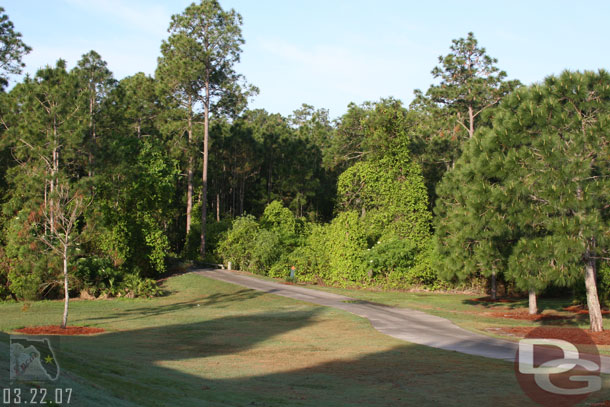 Looking back at where the trail came out