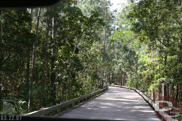 Heading back through the nature area