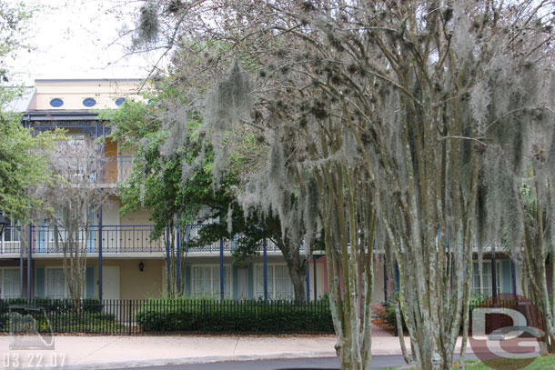 Back at Port Orleans, here is a shot of the trees by the French Quarter