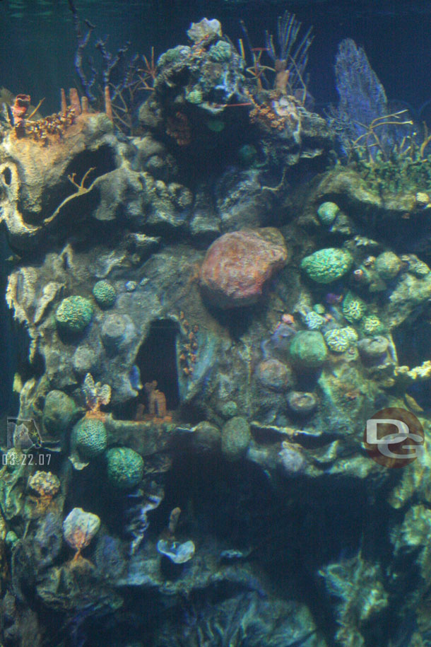 A look into the main tank