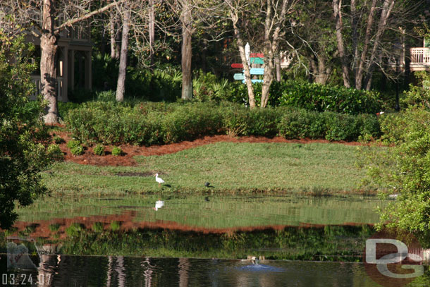 Here you can see where the fishin hole ends and the river begins, notice what looks like a line through the water.