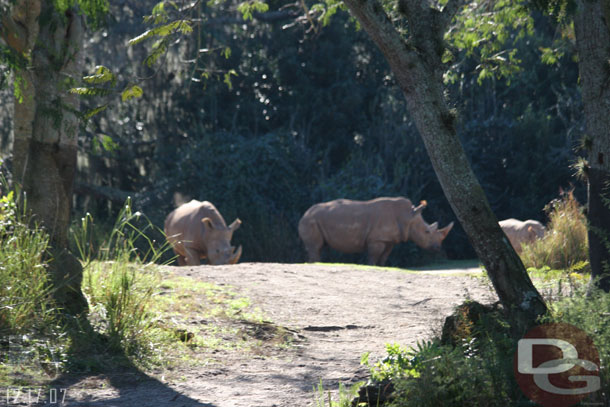 The rhinos, its hard to see the young one on the right in this shot..