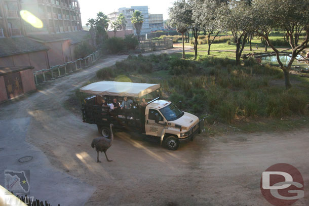 A truck out with guests in it on a photo safari