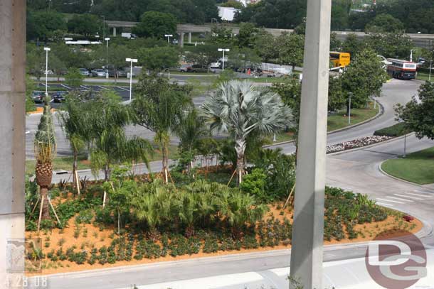 The new plants by the bus station