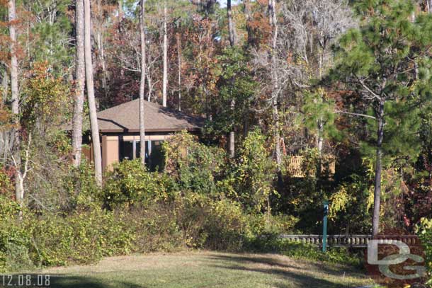 A glimpse of a tree house, more shots to come.