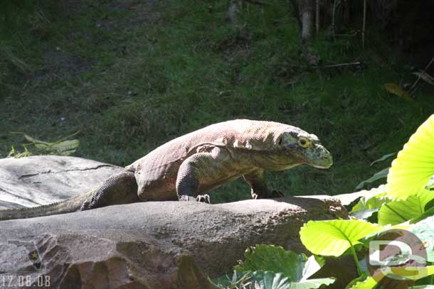 Then went on the Jungle Trek