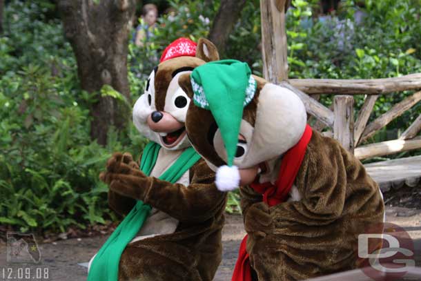 Chip and Dale were out taking pictures