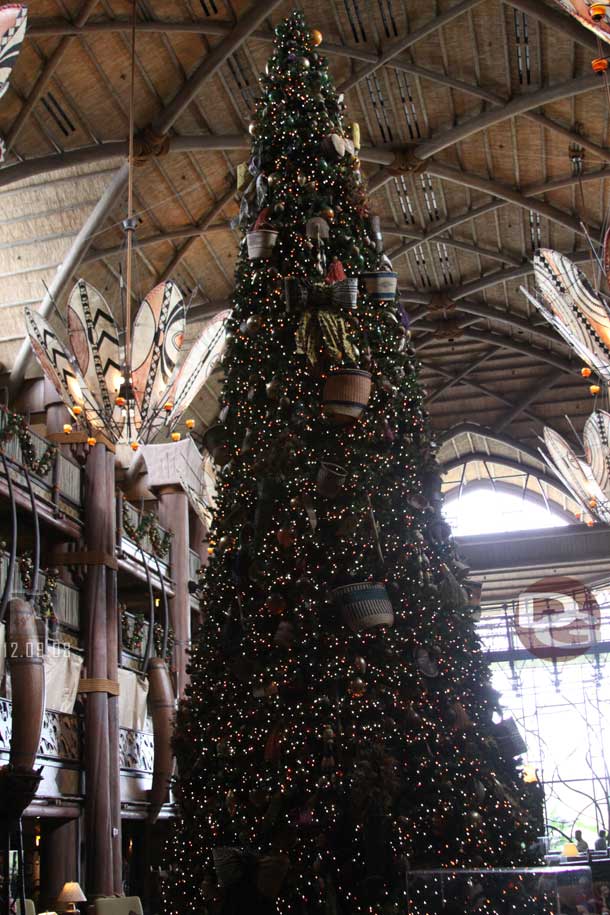 The Lodges tree.