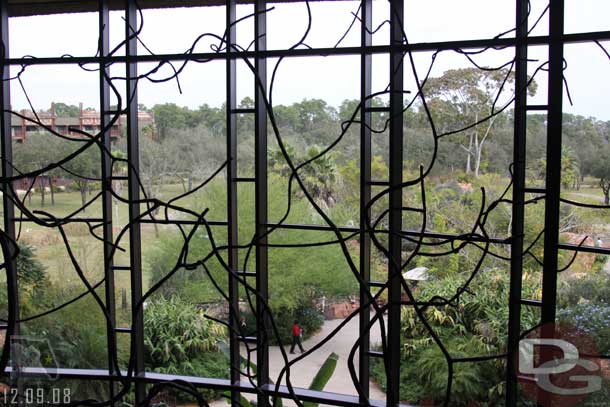 Looking out to the savanna