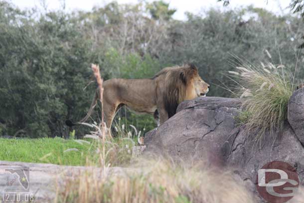 And he was roaring a bit, first time I think I have heard him.