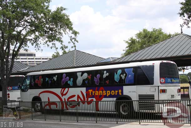 All the Disney busses are decorated.