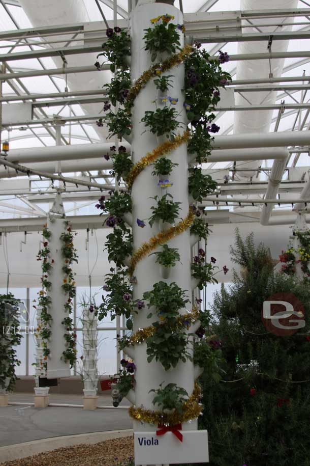 Some of the greenhouses had Christmas decorations.