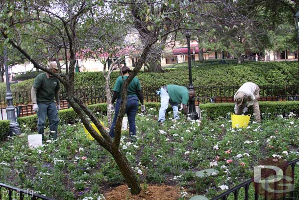 Kind of an odd sight.  Several CMs working during the day on the plants.