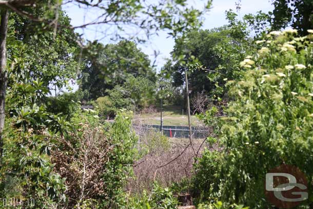 Through the trees you can just barely make out some of the clearing that is being done for the Fantasyland expansion.