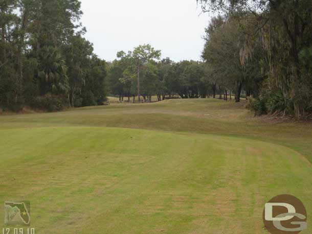 Looking back toward the tee