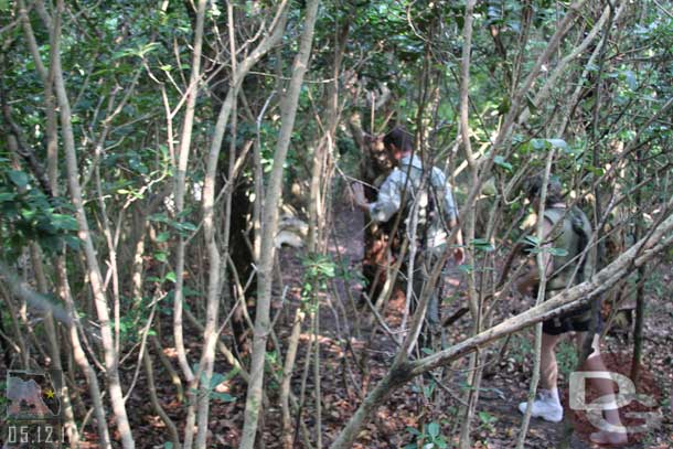 The group heading off into the forest.