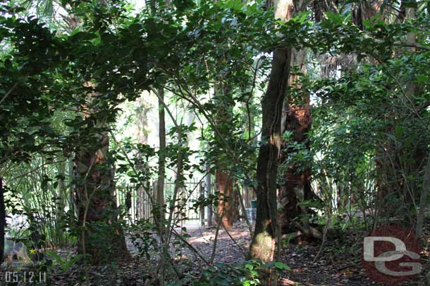 Through the woods you can see some fencing, that is where we are heading.