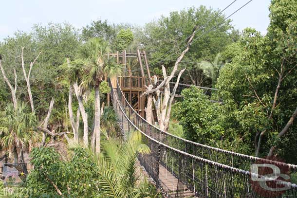 There are two bridges.  The first spans the ride path and the open area between the hippos and crocs then you make a sharp turn and head across a second that spans the crocs.