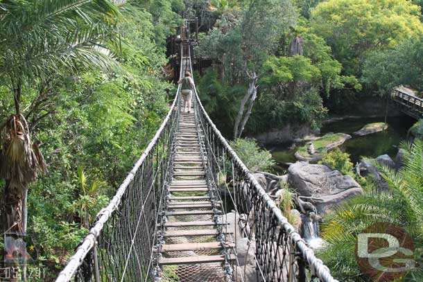 Waiting to step off onto the second bridge.  To the right and below are the crocs.