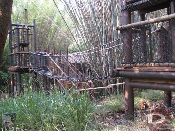 Once we were all ready to go, we were given an introduction and then asked to go across this test bridge.