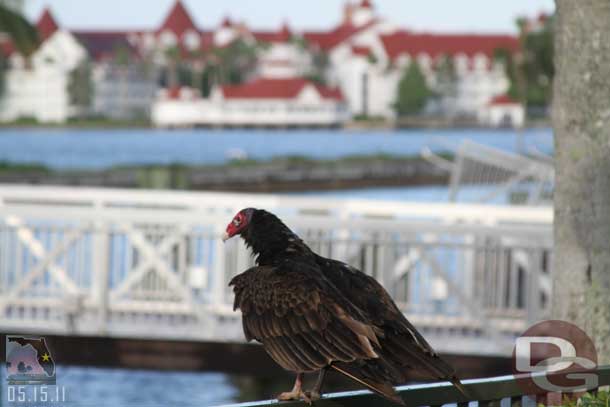 Arrived at the Magic Kingdom with time to spare.  Thought this was an interesting shot.