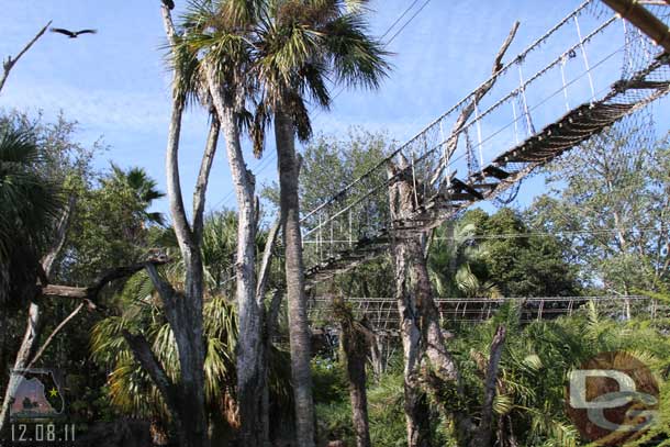 On Safari now.  A look up at the bridges for the Wild Africa Trek.