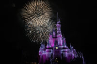 Walt Disney World Resort December 8, 2011