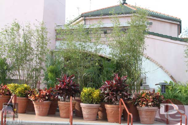 Some plants trying to hide the old Adventurers club.