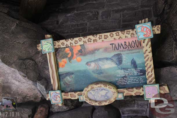 Another of the Discovery Island exhibits.