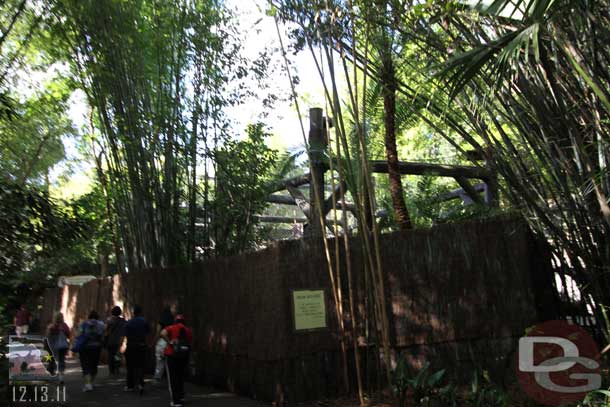 Then a walk through Pangani (the other gorilla was visible from the outlook by the Safari exit).  Looks like the scaffolding is all down at the monkey enclosure.