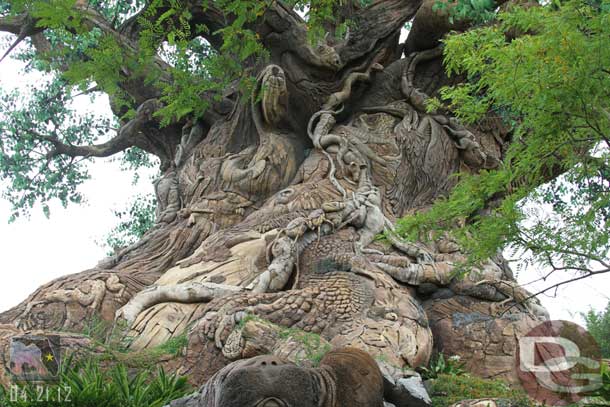 I was very lucky I did because this was my only chance to.  Overnight there was some damage to the Tree of Life and the trails were off limits the rest of my trip.