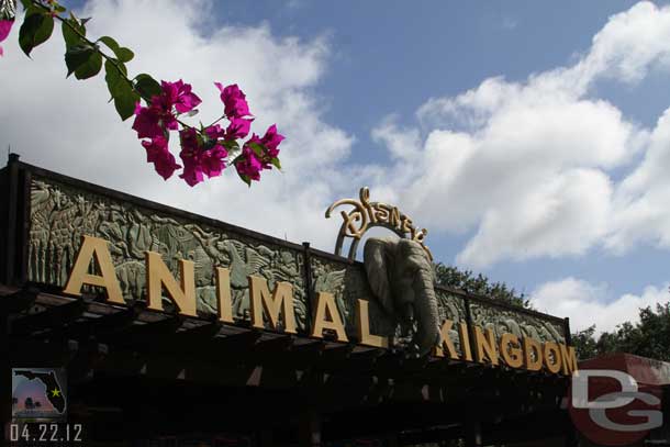 First stop of the day, the Animal Kingdom.  Today marks the 14th anniversary of the park.