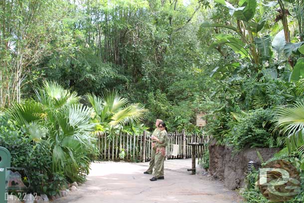 The walk ways around the Tree of Life were closed off today.  The Cast Members were not saying why.  Also Tough to Be a Bug was closed.   Later we learned the reason was an issue with the tree and the trails remained closed until early May when some reopened with large nets over them.