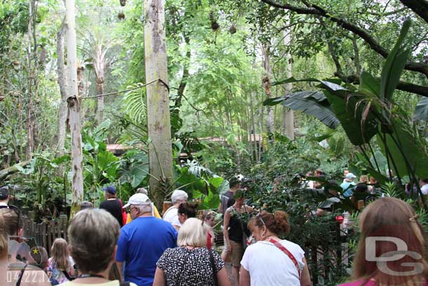 The aviary was crowded today.