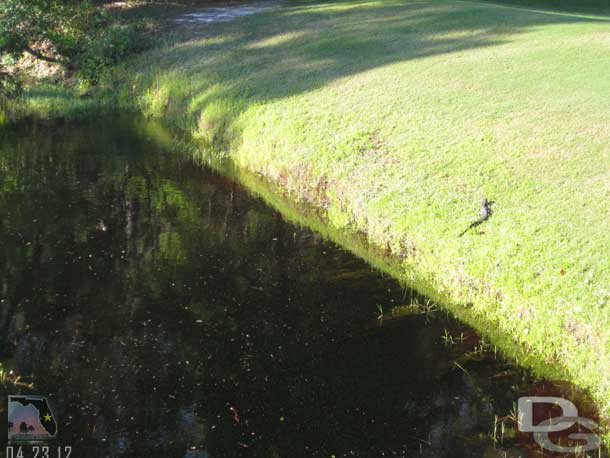 There was another in the water, a little hard to tell.  It was about the same size.  