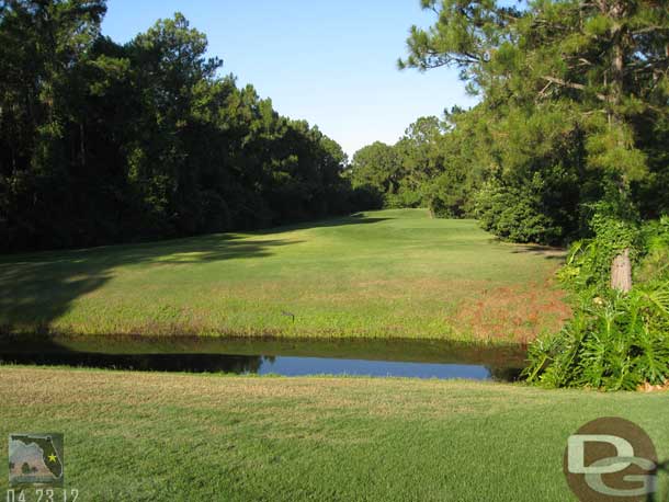 A wider shot to show the scene.. the tee box is straight back and you can just barely make out the aligator in the middle near the bank.