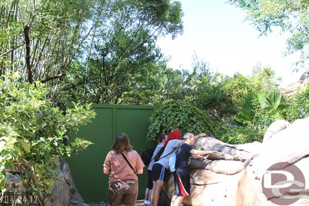 There were now construction walls up on the trail that would lead you by the Tree of Life.